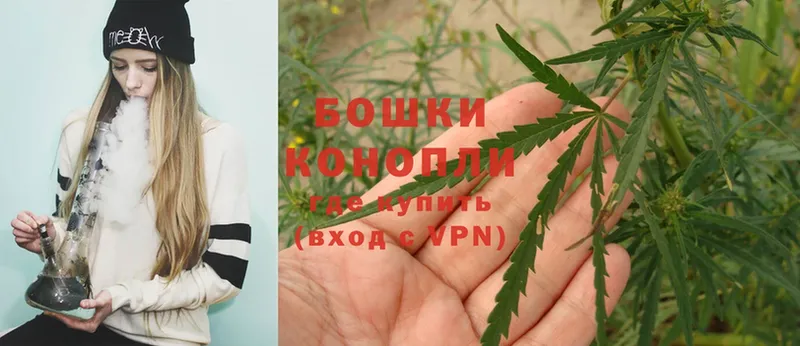 где продают наркотики  Вятские Поляны  Бошки Шишки Ganja 